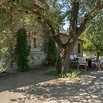 Olivos