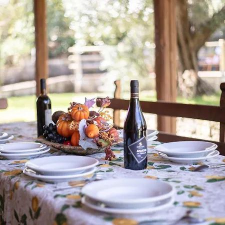 Olivos Villa Roccastrada