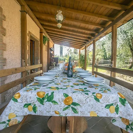 Olivos * Roccastrada