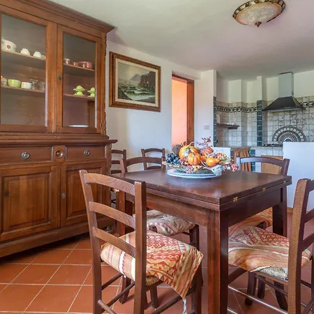 Olivos * Roccastrada