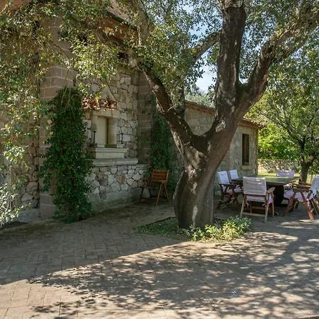 Olivos Villa *