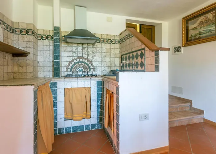Olivos Villa Roccastrada